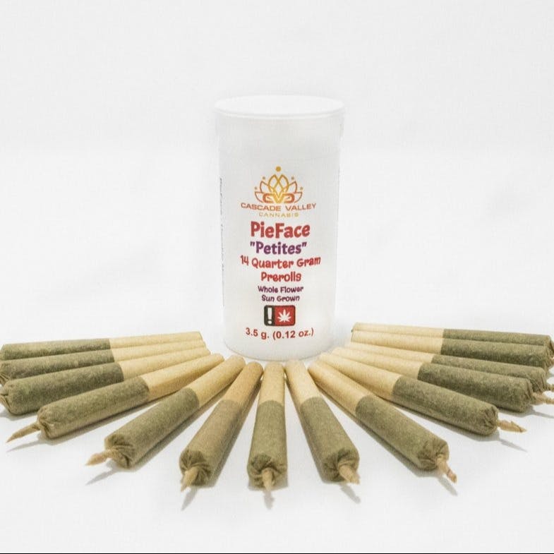 (PETITIE PAK) - 14 X .25g - Pennywise 9.41% THC / 11.14% CBD